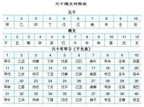 天干地支 算法|如何快速计算当时的天干地支